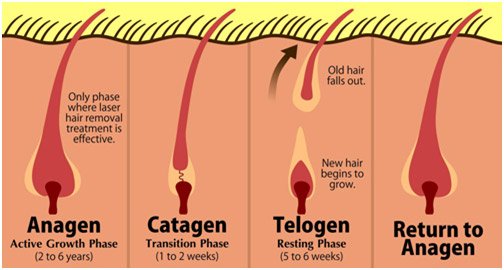 Best Permanent Laser Hair Removal